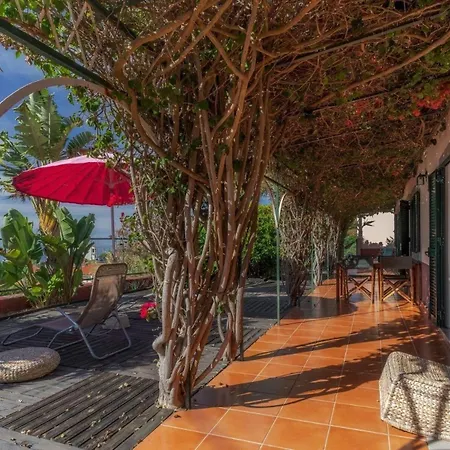 בית נופש Ferienhaus Fuer 4 Personen Ca 250 Qm In Calheta, Madeira Suedkueste Von Madeira *